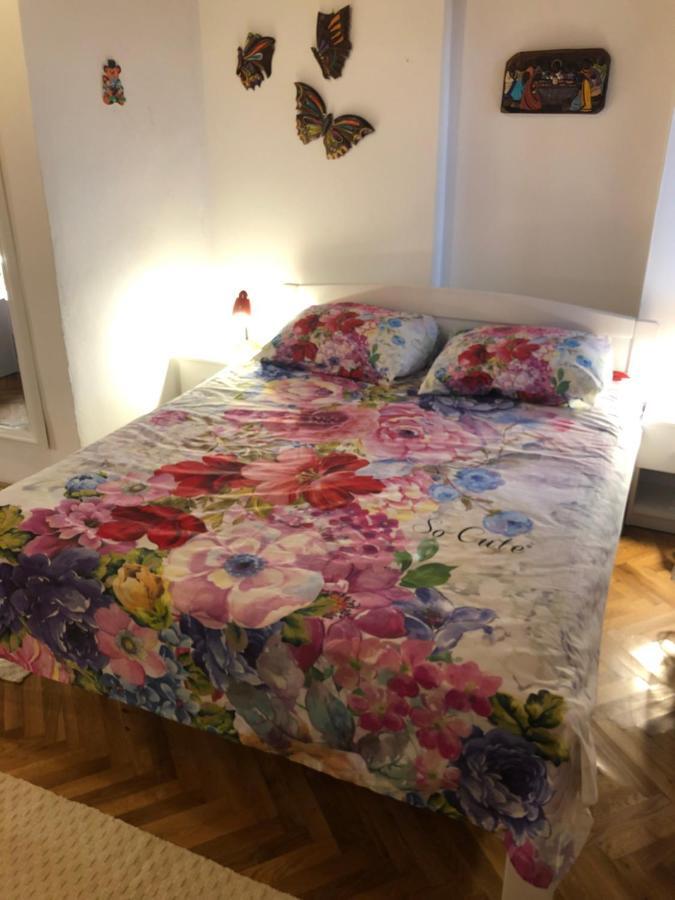 Studio Villa Mattossi Rovinj Buitenkant foto